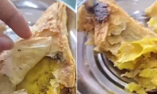 ഡൽഹി യൂനിവേഴ്‌സിറ്റിയിലെ സമൂസയിൽ ഉറുമ്പ്;  വെജിറ്റേറിയൻസിന് പ്രോട്ടീനെന്ന് കമന്റ്