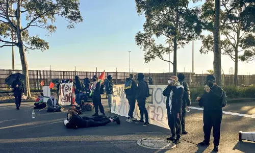 Pro-Palestine activists