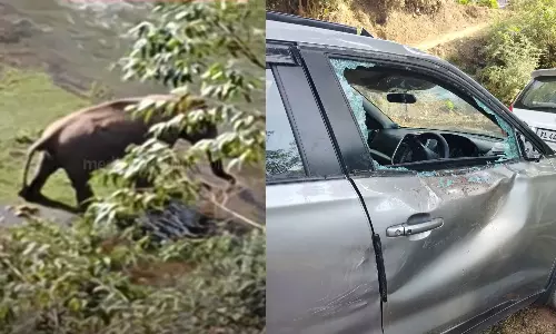 മൂന്നാറില്‍ കാട്ടാനക്കൂട്ടം കാറുകള്‍ തകര്‍ത്തു