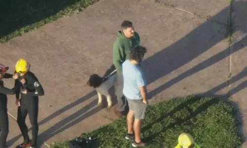 വിമാനം കടലിൽ വീണു; സാഹസികമായി രക്ഷപ്പെട്ട് പൈലറ്റും വളർത്തുനായയും വിമാനം കടലിൽ വീണു; സാഹസികമായി രക്ഷപ്പെട്ട് പൈലറ്റും വളർത്തുനായയും