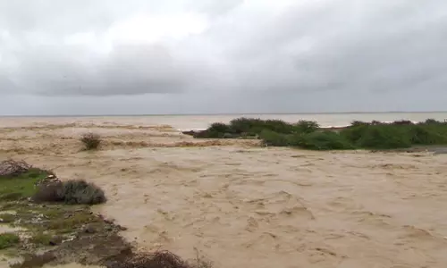 Death toll rises to 20 in Oman rains