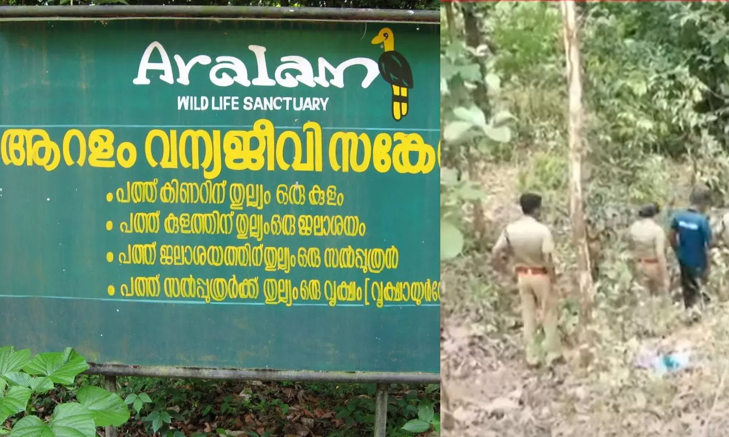 illegal felling, aralam wildlife sanctuary,breaking news malayalam,ആറളം,അനധികൃത മരംമുറി,ആറളം മരമുറിക്കേസ്, illegal felling, aralam wildlife sanctuary,breaking news malayalam,ആറളം,അനധികൃത മരംമുറി,ആറളം മരമുറിക്കേസ്,