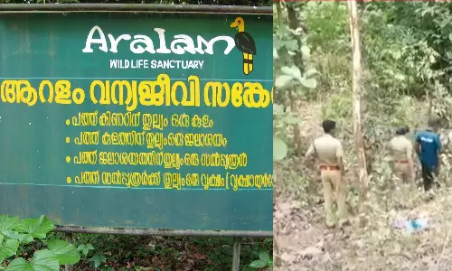 illegal felling, aralam wildlife sanctuary,breaking news malayalam,ആറളം,അനധികൃത മരംമുറി,ആറളം മരമുറിക്കേസ്,