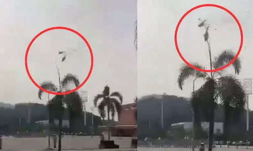 Navy helicopters collide,