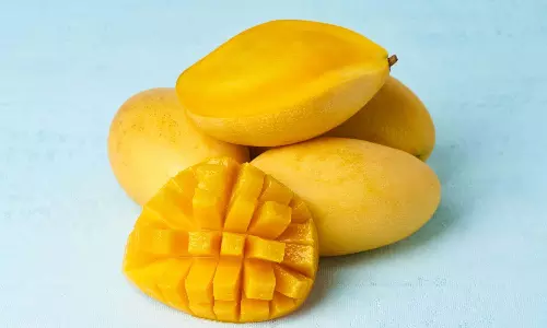 mangoes,healthy food,mangoes health benefits, healthnews,മാമ്പഴം ,ആരോഗ്യഗുണങ്ങള്‍,മാങ്ങയുടെ ഗുണങ്ങള്‍,മാങ്ങ സീസണ്‍