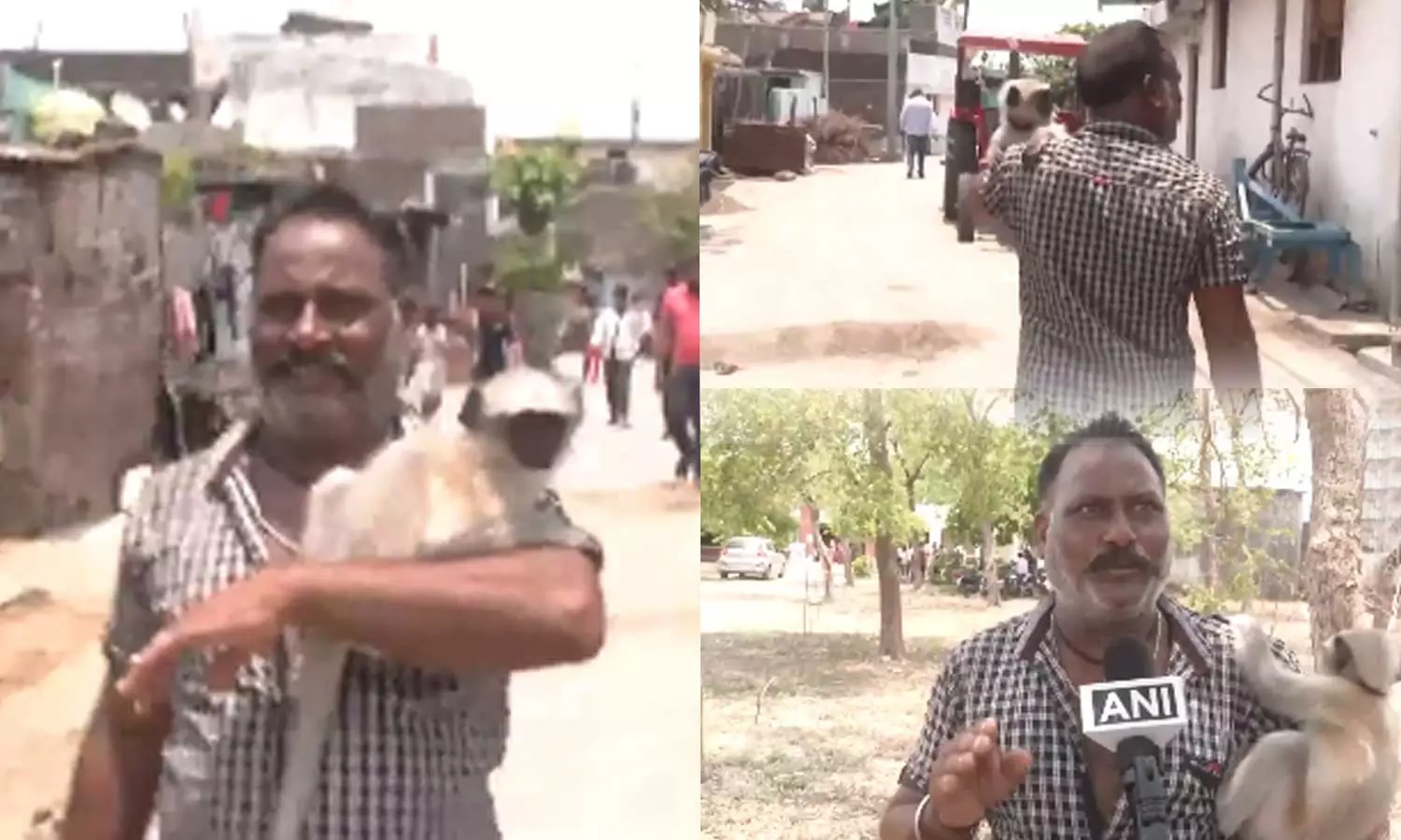 ഇവനെന്റെ മകനെ പോലെ, എങ്ങോട്ട് പോയാലും കൂടെവരും; വളർത്തുകുരങ്ങനുമായി വോട്ട് ചെയ്യാനെത്തി മധ്യവയസ്കൻ ഇവനെന്റെ മകനെ പോലെ, എങ്ങോട്ട് പോയാലും കൂടെവരും; വളർത്തുകുരങ്ങനുമായി വോട്ട് ചെയ്യാനെത്തി മധ്യവയസ്കൻ