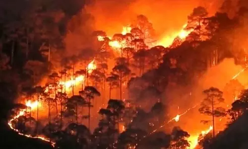 Uttarakhand forest fire spreads to Nainital Uttarakhand forest fire spreads to Nainital