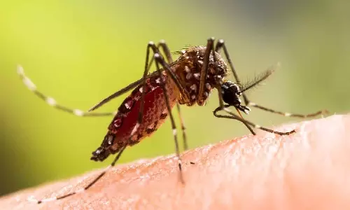 Dengue spreads in Malappuram