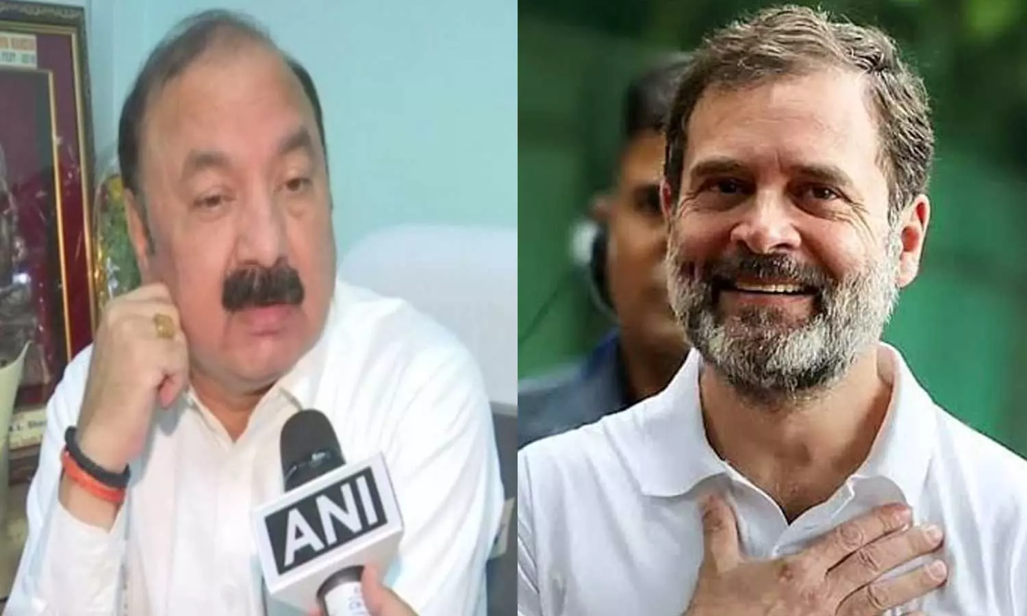 Rahul Gandhi picks Rae Bareli, Congress fields KL Sharma from Amethi, Elections 2024, Lok Sabha 2024 Rahul Gandhi picks Rae Bareli, Congress fields KL Sharma from Amethi, Elections 2024, Lok Sabha 2024