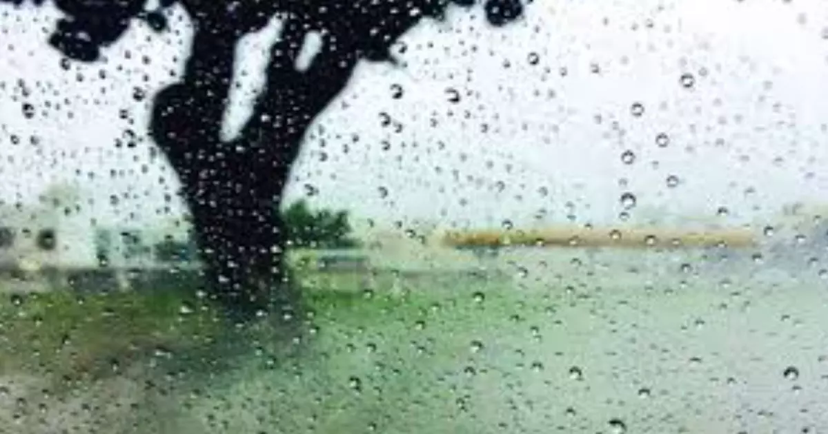 A group of people were arrested in Oman after they ignored the warning and crossed WadiScattered rain is likely over the northern governorates of Oman A group of people were arrested in Oman after they ignored the warning and crossed WadiScattered rain is likely over the northern governorates of Oman