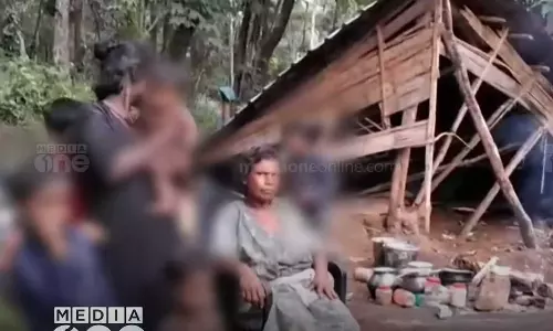 കൂര നിലംപൊത്തിയതോടെ പെരുവഴിയിലായി ആദിവാസി കുടുംബം; ഇടപെട്ട് മന്ത്രിയും ജില്ലാ കലക്ടറും