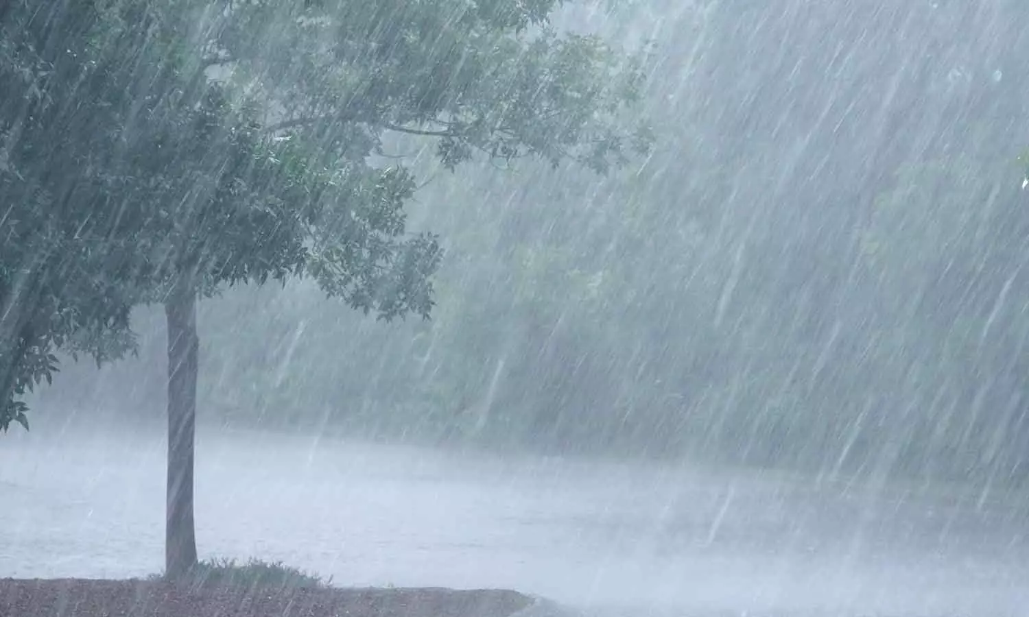 Rain warning in kerala Rain warning in kerala