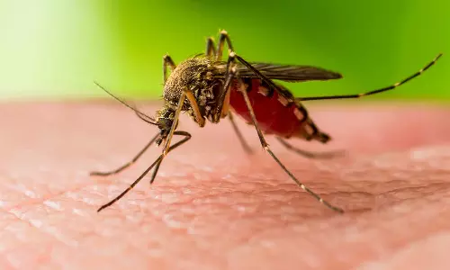 West Nile fever has been confirmed in four people in Kozhikode district