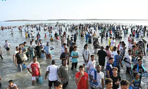 20th Fareed Fish Festival was organized in Jizan