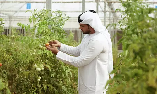 ADAFSA Issues Condition And Controls Regulating Small-Holder Plant Production Farms ADAFSA Issues Condition And Controls Regulating Small-Holder Plant Production Farms