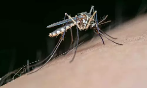 West Nile fever; Experts say not to worry