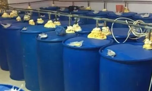 Raid on a huge liquor factory in Kuwait: Four expatriates arrested