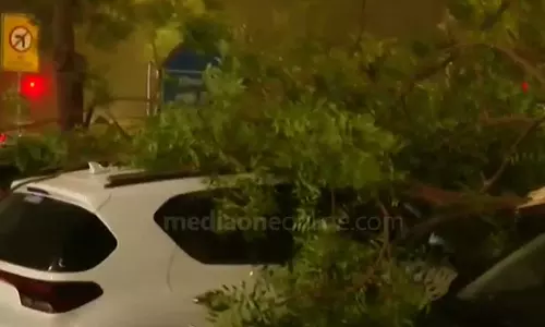 Dust storm in Delhi; Damage at some places,Warning,latest news