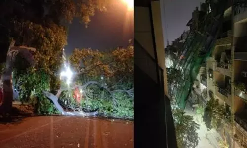 Dust storm, Delhi, DelhiDust storm,പൊടിക്കാറ്റ്,ഡല്‍ഹി