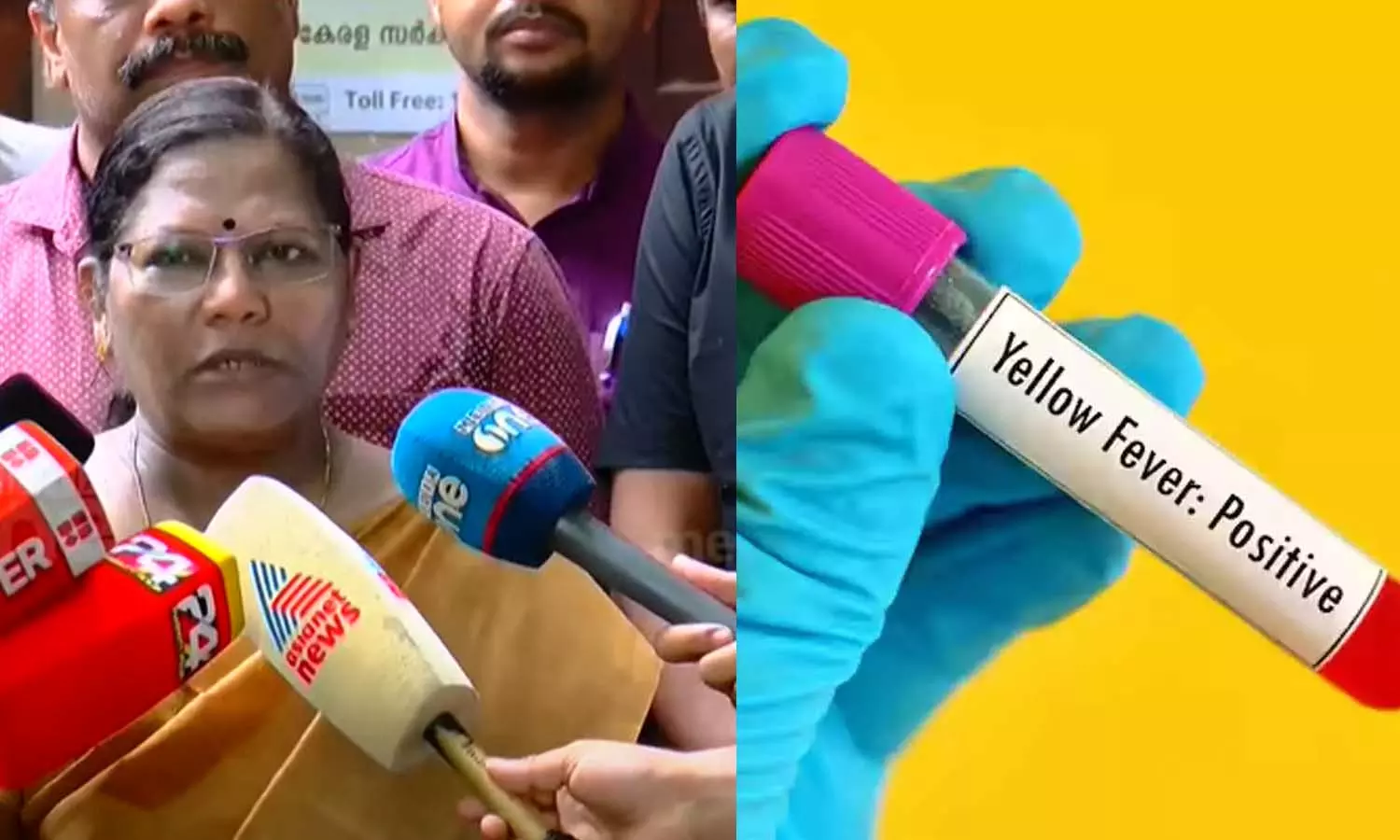 malappuram yellow fever alert malappuram yellow fever alert