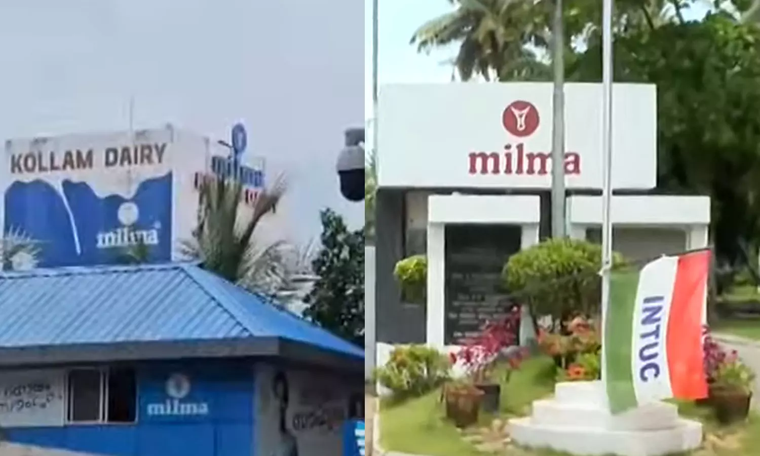 Milma employees ended their strike,trivandrum,mila chairman,latest news malayalam,
