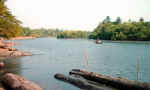 സ്‌കൗട്ട് ക്യാമ്പിനിടെ വിദ്യാർഥികൾ മുങ്ങിമരിച്ചു; അധ്യാപകർക്കെതിരെ കേസ്