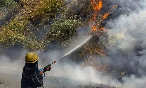 Why have you employed forest fire staff on election duty: SC slams Uttarakhand govt