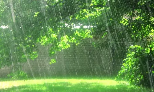 summer rain