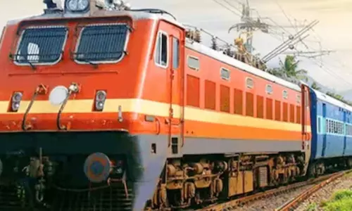 Ticketless traveller