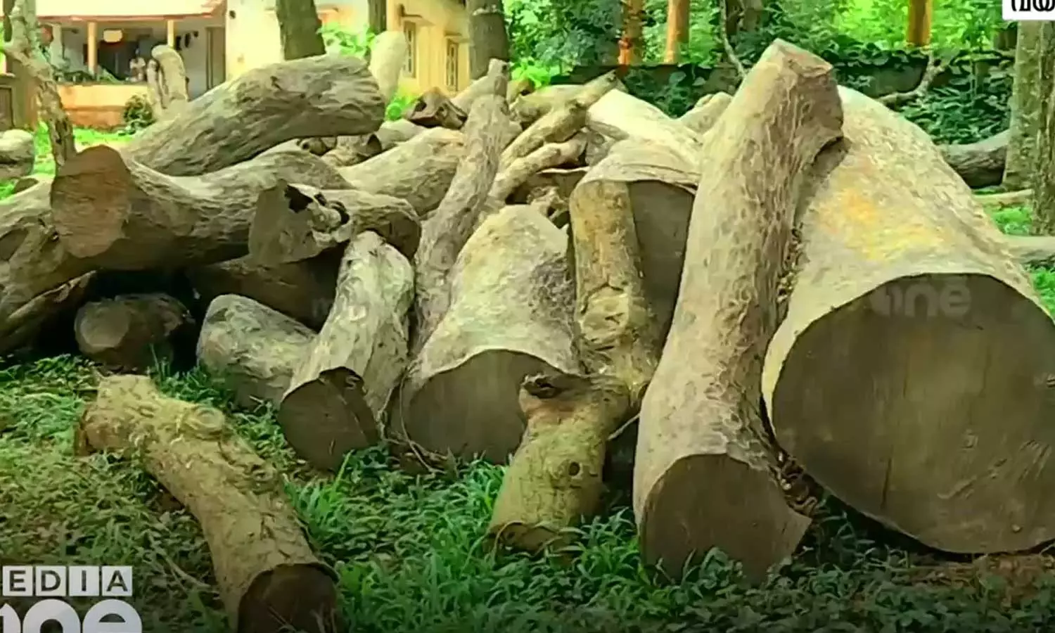 A high-level meeting will be held today under the leadership of ADGP in connection with the further investigation in the Muttil tree-felling case A high-level meeting will be held today under the leadership of ADGP in connection with the further investigation in the Muttil tree-felling case