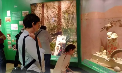 Omans 11 government museums received 605,440 visitors in 2023.