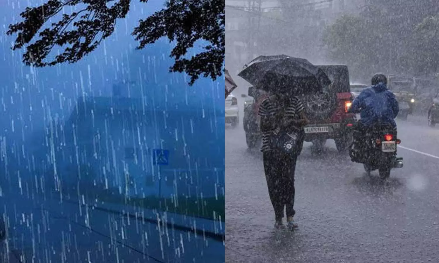Kerala Rain Alert Kerala Rain Alert