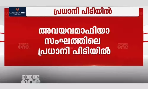 Organ mafia chief arrested