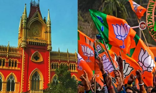Calcutta High Court restrains BJP from publishing derogatory ads against TMC, criticises ECI for inaction, Elections 2024, Lok Sabha 2024