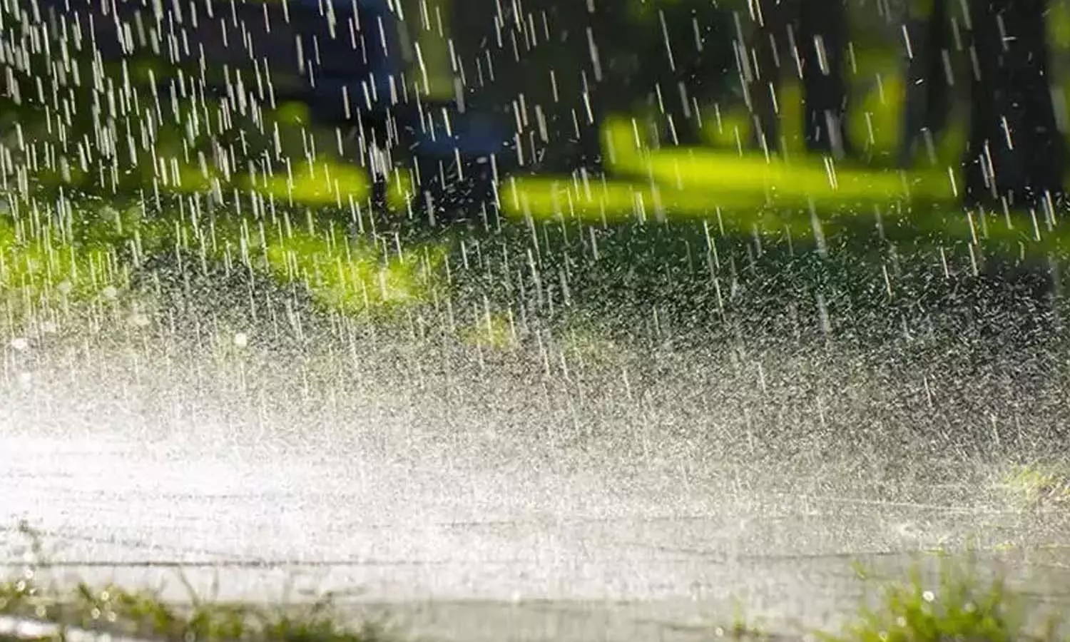 rain alert rain alert