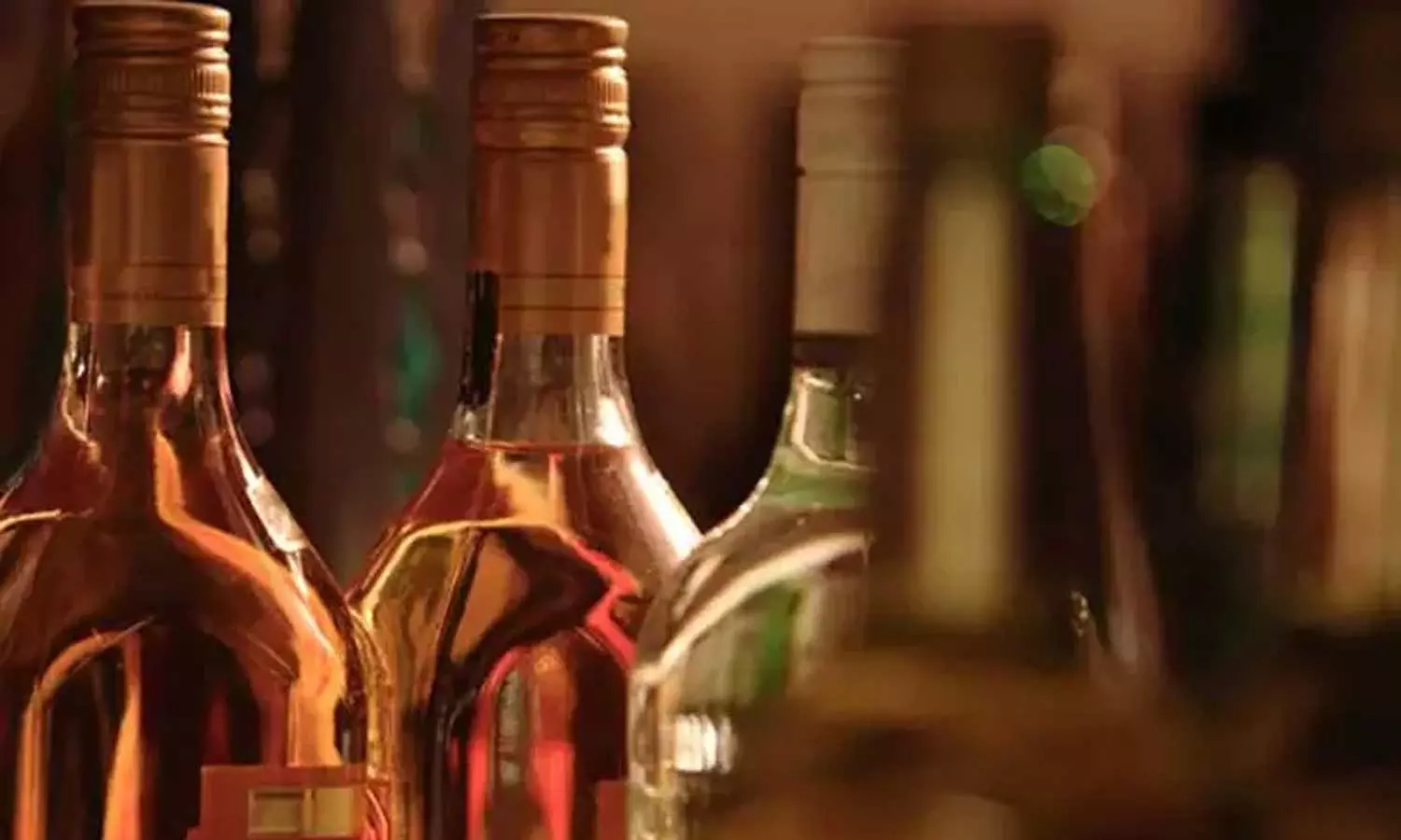 Bar License Bar License