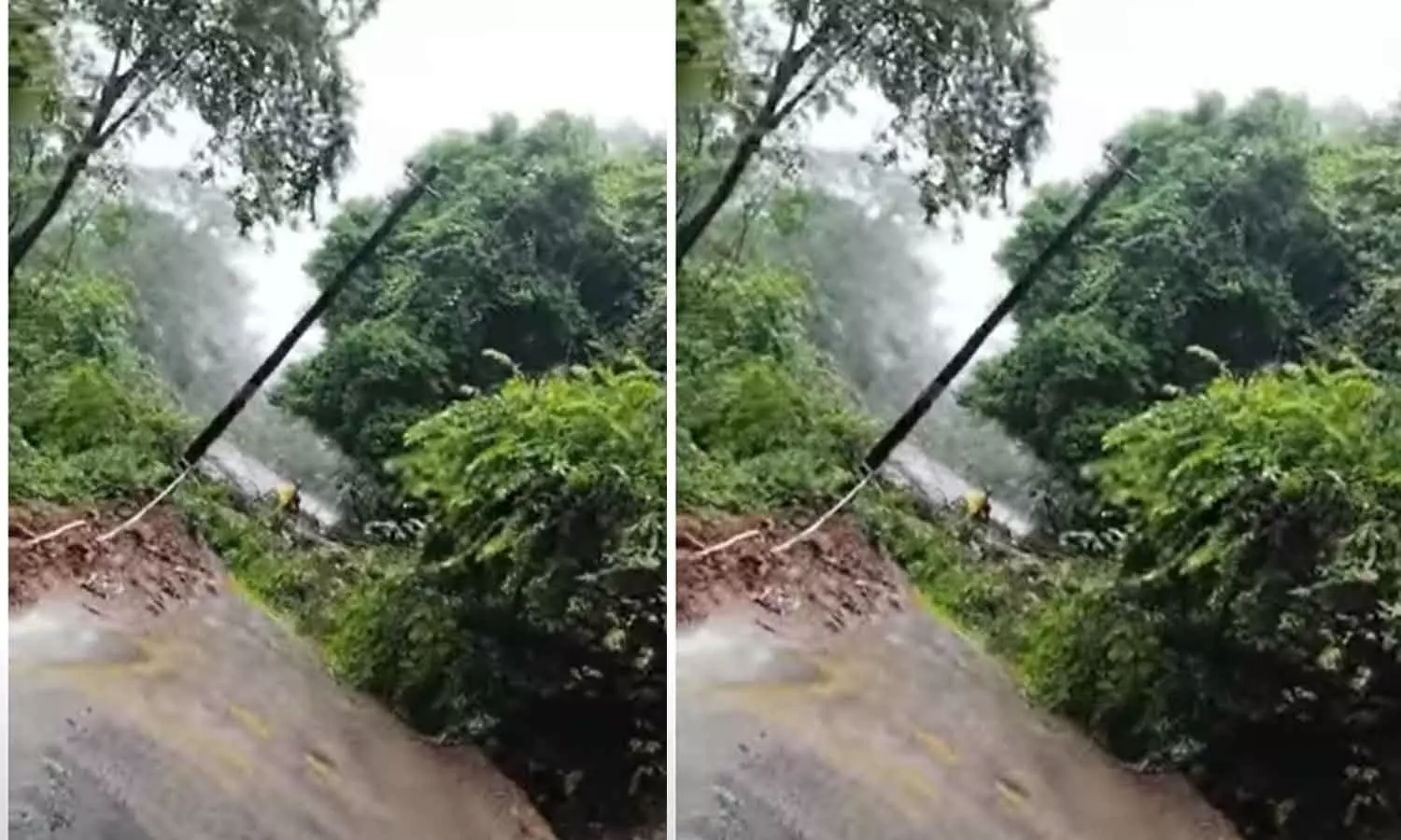 In Balussery, the tree fell down on the road In Balussery, the tree fell down on the road