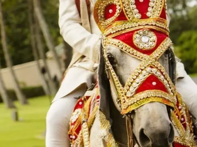 Dalit groom ‘thrown off carriage’