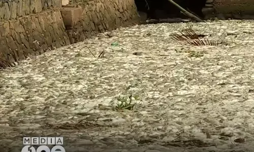 Periyar fish kill ,Periyar ,Chemical Pollution,Periyar River,പെരിയാര്‍,മത്സ്യക്കൂട്ടക്കുരുതി, പെരിയാര്‍ രാസമാലിന്യം