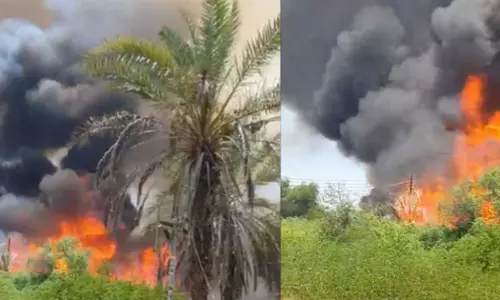 A fire broke out at a farm in Seeb Governorate, Oman