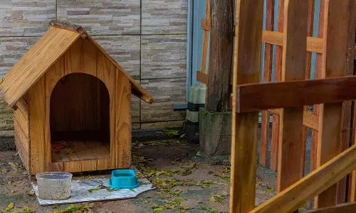 UP Judges Family Sues Neighbour, 12 Others Over Pet Dogs Disappearance