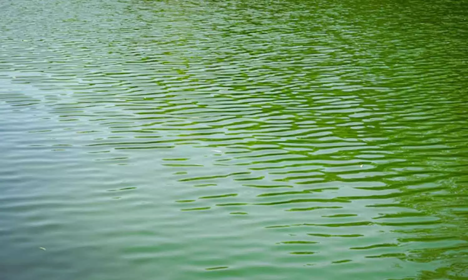 A 23-year-old boy went missing after bathing in a quarry A 23-year-old boy went missing after bathing in a quarry
