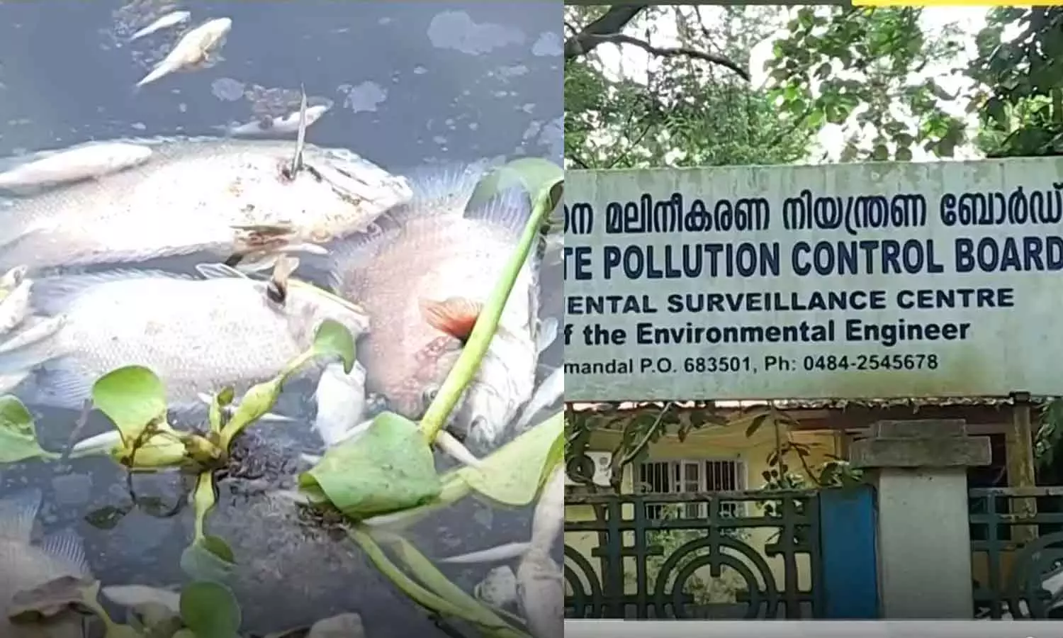 The PCB issued notices to two companies for dumping chemical waste in Periyar The PCB issued notices to two companies for dumping chemical waste in Periyar