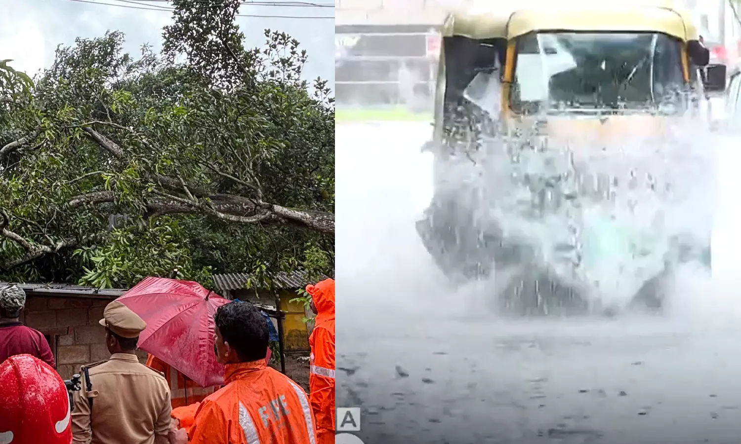 rainkerala,Alappuzha,latest malayalam news,മഴ കനക്കുന്നു,ആലപ്പുഴയില്‍ തെങ്ങ് വീണു,വെള്ളം കയറി,മണ്‍സൂണ്‍