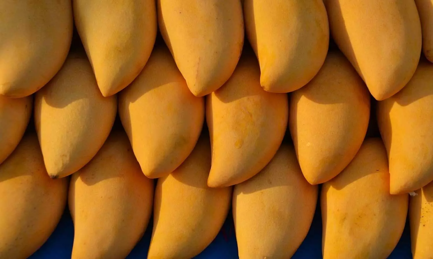 Indian Mango Fair is organized at Souq Waqif, Qatar Indian Mango Fair is organized at Souq Waqif, Qatar