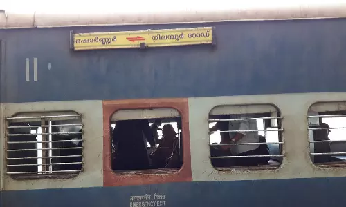 nilambur shoranur passenger,Snake Bite,latest malayalam news,നിലമ്പൂർ -ഷൊർണൂർ പാസഞ്ചർ ട്രെയിന്‍, യാത്രക്കാരിക്ക് പാമ്പ് കടിയേറ്റു,നിലമ്പൂർ ,ട്രെയിനില്‍ പാമ്പ്