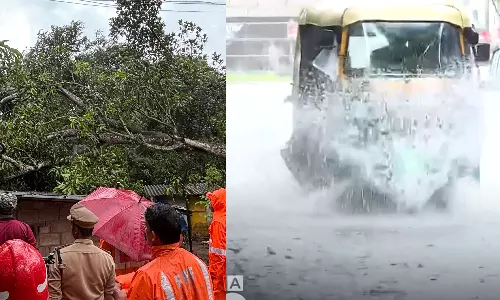 rainkerala,Alappuzha,latest malayalam news,മഴ കനക്കുന്നു,ആലപ്പുഴയില്‍ തെങ്ങ് വീണു,വെള്ളം കയറി,മണ്‍സൂണ്‍