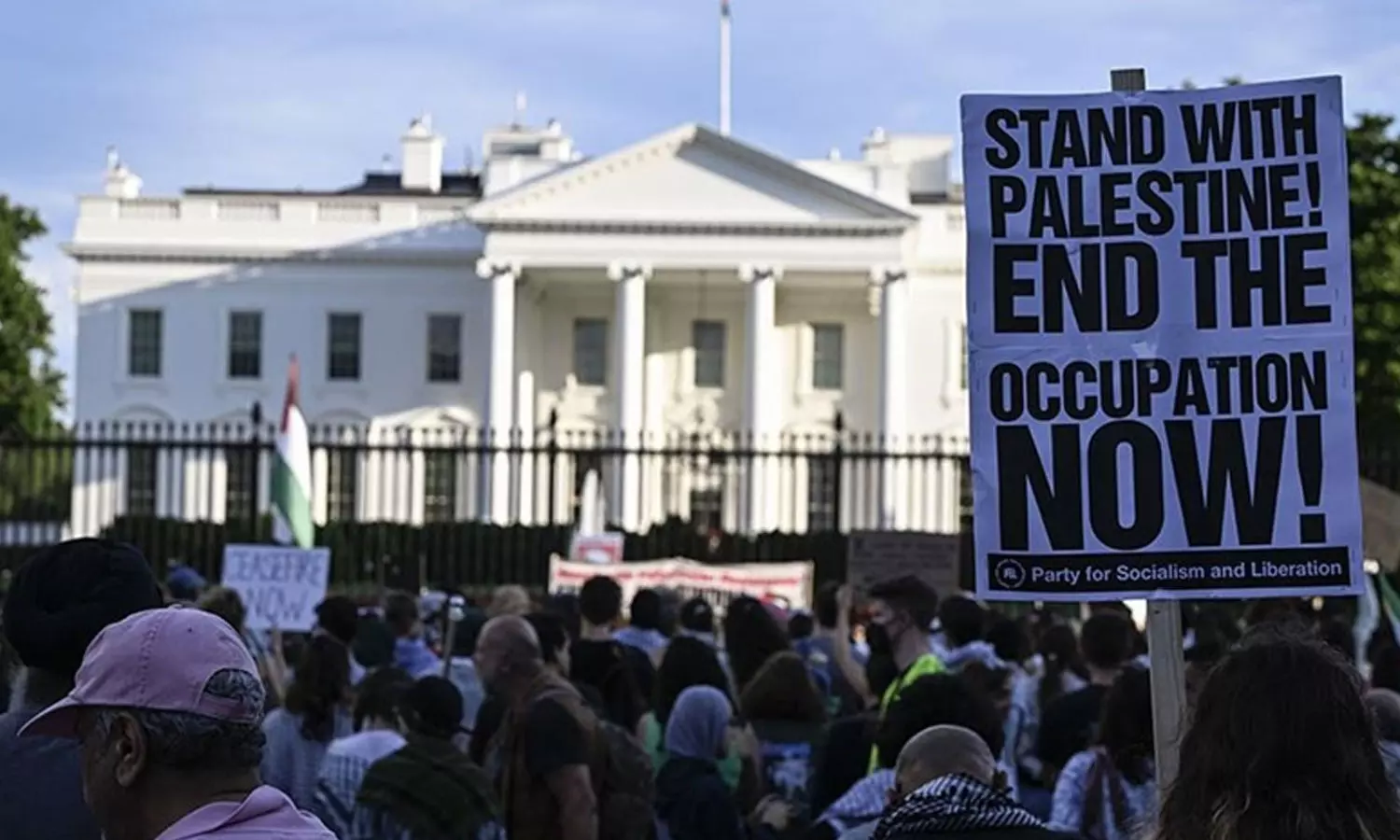 pro palestine protest at white house