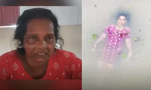 Locals rescued housewife swept away,Kalladayar,housewife swept away more than ten kilometers,rain kerala,latest malayalam news,കല്ലടയാര്‍,വീട്ടമ്മ ഒഴുകിപ്പോയി,