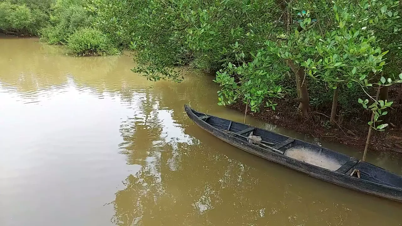 pullipuzha pullipuzha